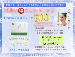 12月のマル得キャンペーン 基礎化粧品５日分セット 【商品内容】ととのえる化粧水２ｍL×１０包 　　　　　　はぐくむ美容乳液１ｍL×１０包 ￥500　クーポンコード【stmbk1】 決済画面でクーポンコードを入力後、「使用する」をクリックしてください。