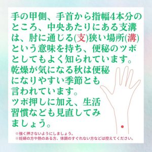 手の甲側、手首から指幅4本分のところ、中央あたりにある支溝は、肘に通じる(支)狭い場所(溝)という意味を持ち、便秘のツボ としてもよく知られています。 乾燥が気になる秋は便秘になりやすい季節とも言われています。 ツボ押しに加え、生活習慣なども見直してみましょう。 ※強く押さないようにしましょう。 ※妊婦の方や熱のある方、体調のすぐれない方などは控えてください。