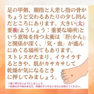 足の甲側、親指と人差し指の骨がちょうど交わるあたりの少し凹んだところにあります。大きい(太)要衝(ようしょう:重要な場所)という意味を持つ太衝は「肝(かん)」と関係が深く、「気・血」が盛んにめぐる場所でもあります。ストレスがたまり、イライラするときや、肌がカサカサして乾燥が気になるときに押してみましょう。※強く押さないようにしましょう。※妊婦の方や熱のある方、体調のすぐれない方などは控えてください。