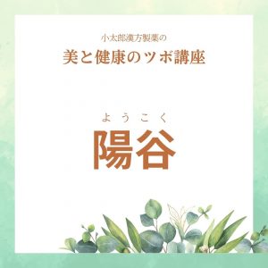 小太郎漢方製薬の美と健康のツボ講座　頭痛２