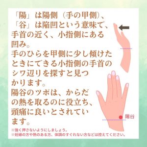 小太郎漢方製薬の美と健康のツボ講座　頭痛３