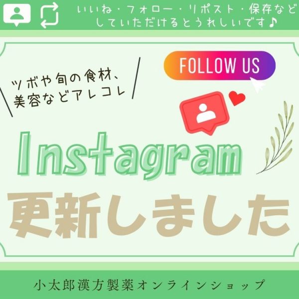 Instagram更新しました。