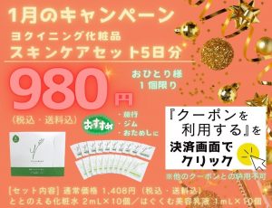 1月のキャンペーン♪ヨクイニング スキンケアセット５日分セットが980円（税込・送料込） ＊おひとり様、1個限り おすすめ　旅行　ジム　出張 今すぐ、お申し込み！ 決済画面にあるクーポンを利用するのボタンを押すだけ ＊他のクーポンとの併用不可 [商品内容] ・ととのえる化粧水２ｍL×１０個 ・はぐくむ美容乳液１ｍL×１０個